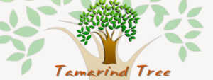Tamarind Tree